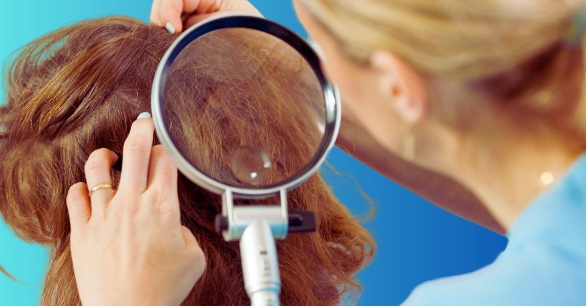 lice infestation examination on hair